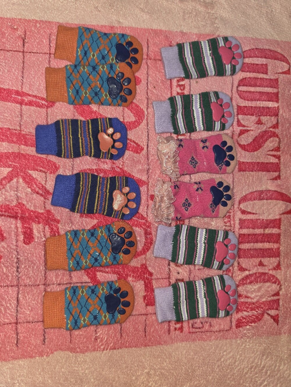 Puppy socks new